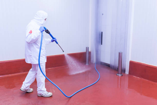 Best Pool Deck Cleaning  in Mcadenville, NC